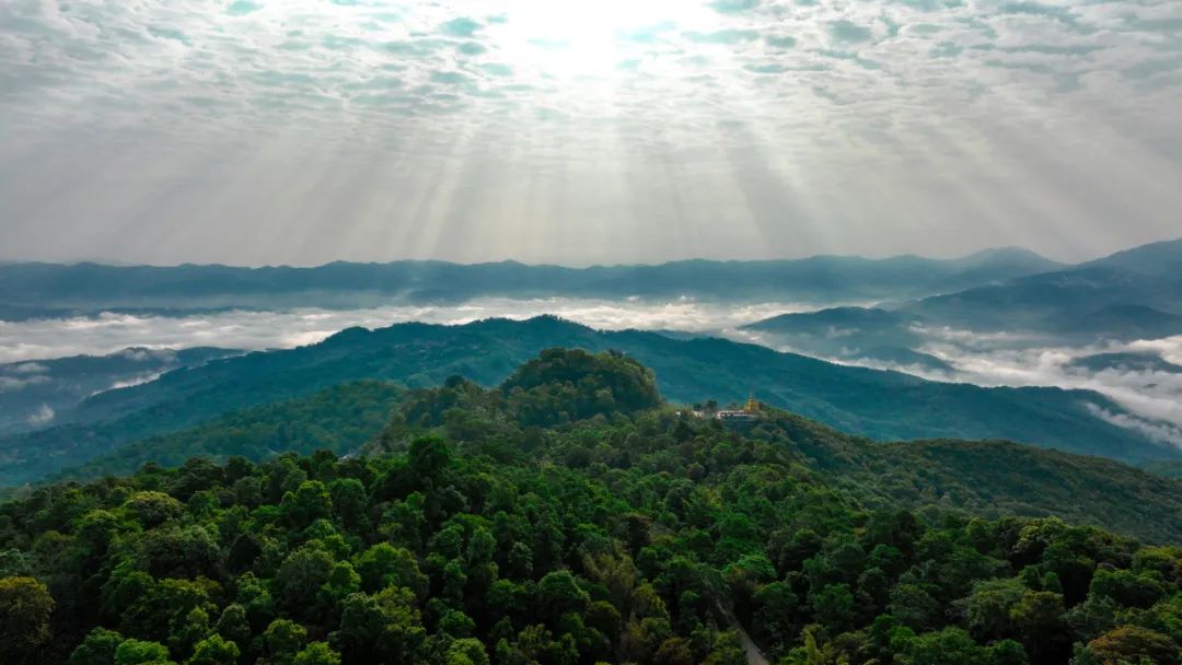 w66国际·利来(中国游)_来利国际旗舰